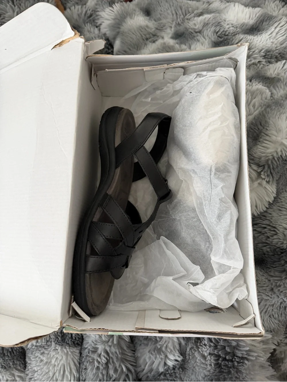 Earth Origins classic black